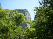 29 Ancora uno sguardo dal bosco